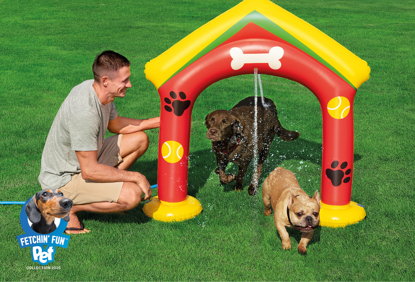 <h4>der-sprinkler-pfote:<br>--bewegung-und-abenteuer-garantiert</h4>